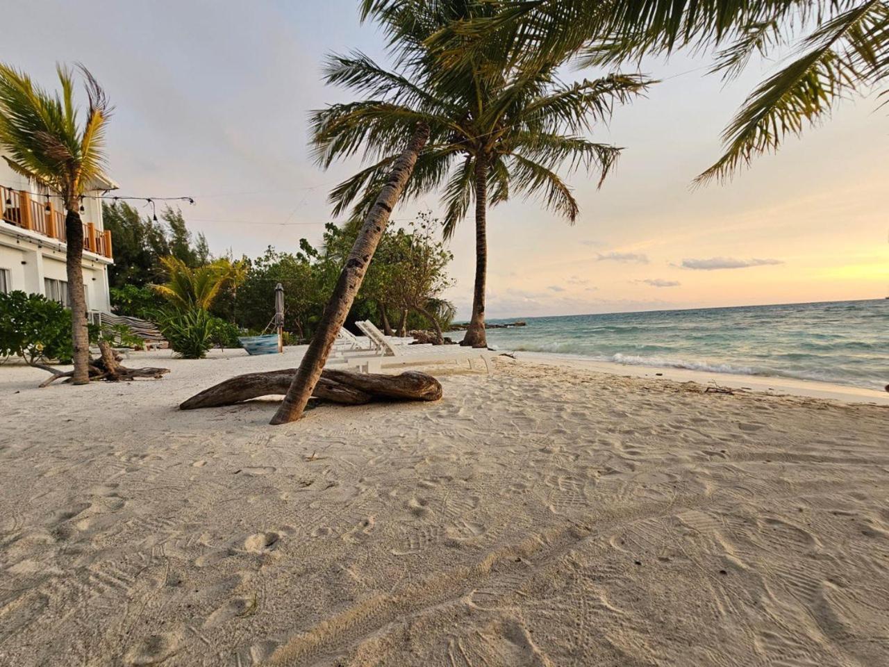The Sunset Villa ديفوشي المظهر الخارجي الصورة